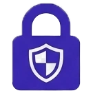 Website security analysis